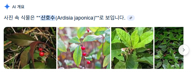 스크린샷 2025-08-06 190308.png