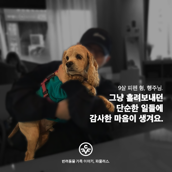 KakaoTalk_20191130_164807308.png