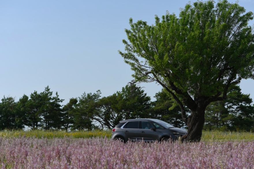 스크린샷 2020-10-25 오후 12.36.24.png