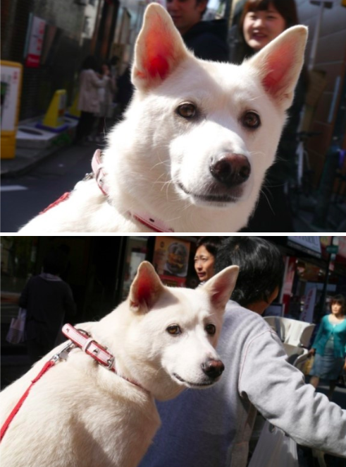 스크린샷 2020-03-17 오후 7.33.31.png