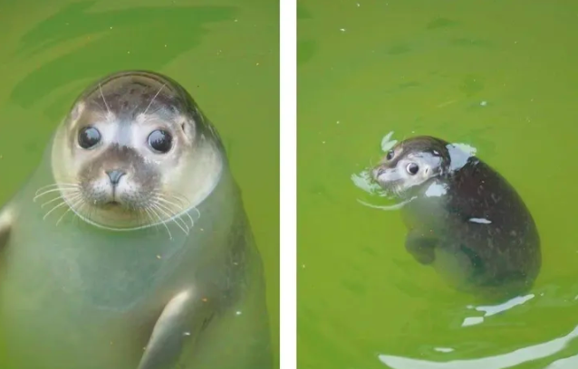 스크린샷 2020-03-17 오후 7.36.40.png