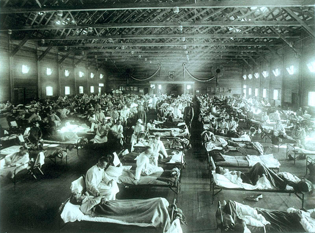 6.1 spanish flu.png