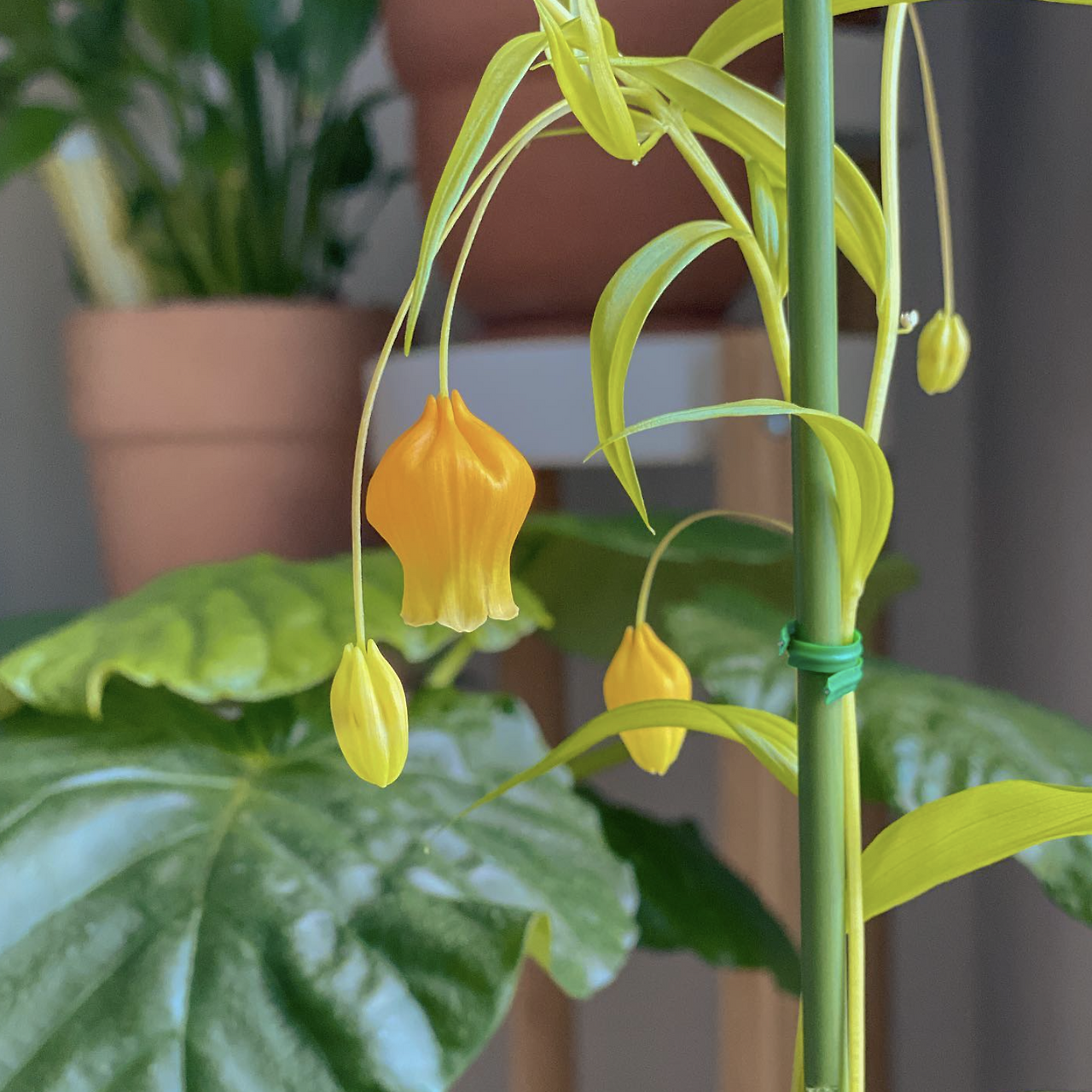 스크린샷 2025-11-20 오후 9.16.54.png