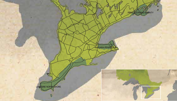 Appellation of Ontario.png