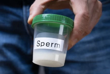Sperm-2.png
