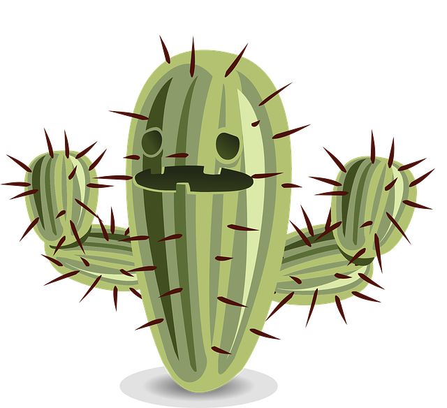 cactus-576482_640.png