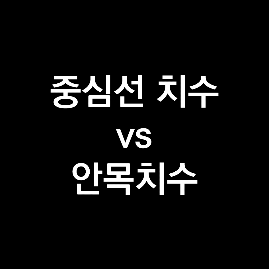 아파트 분양면적 계산 (중심선치수 vs 안목치수).png