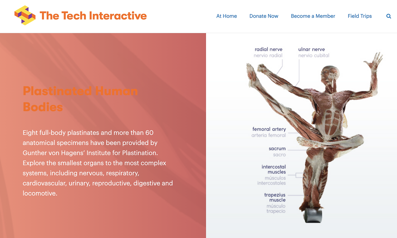 Screen Shot 2020-07-09 at 11.10.18 PM.png