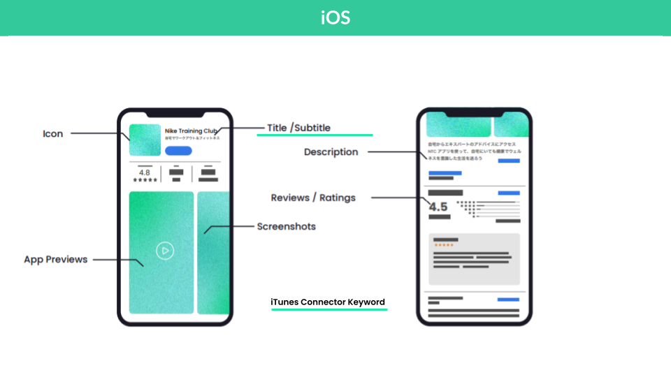 aix_axo_marketInsights (13).png