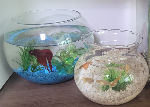 스크린샷 2025-09-18 095634.png