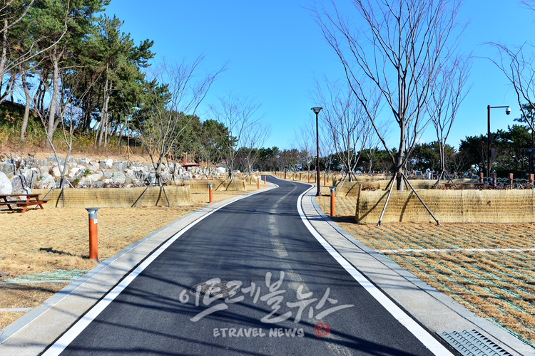 대왕암공원 오토캠핑장.png