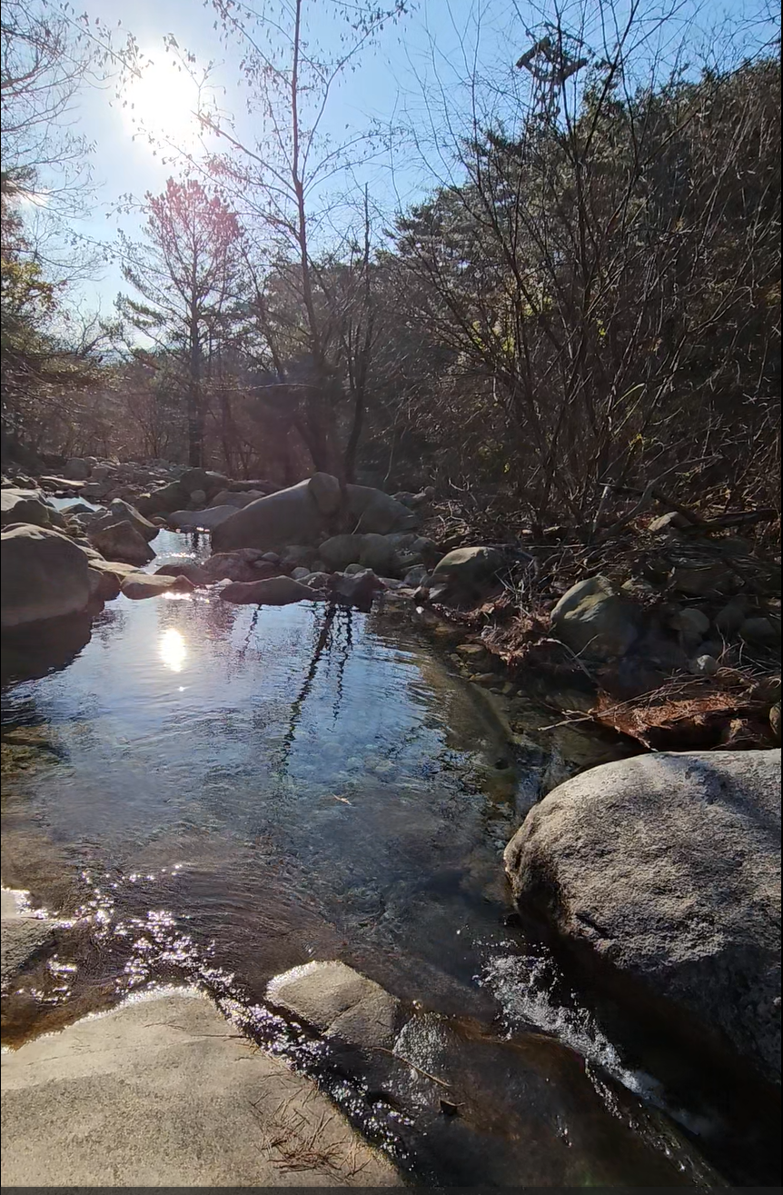 스크린샷 2024-04-17 204058.png