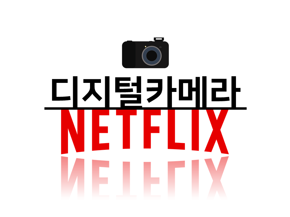 디카넷플릭스.png