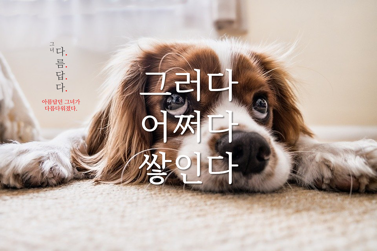 그러다 어쩌다 쌓인다.png