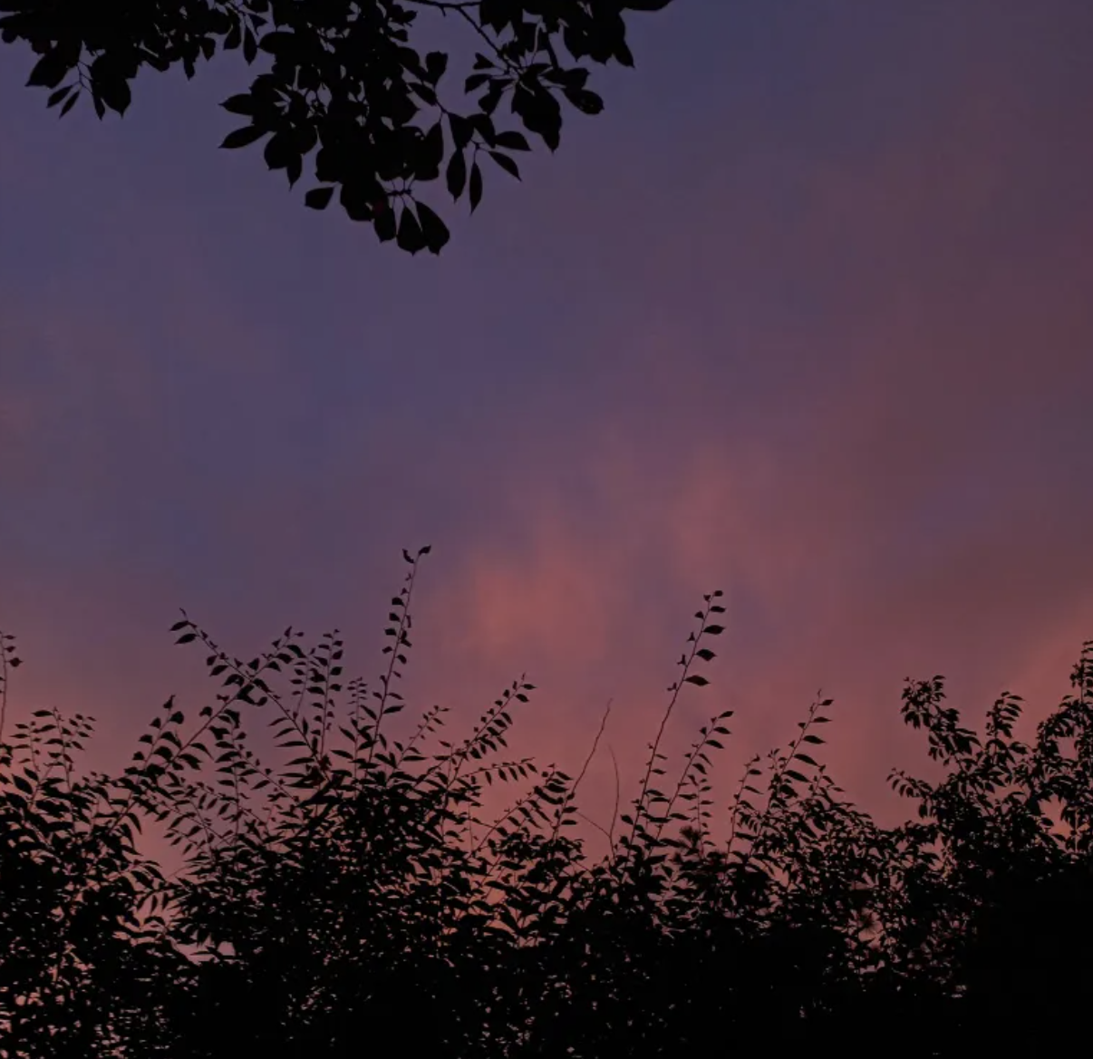 스크린샷 2025-05-24 오후 8.25.52.png