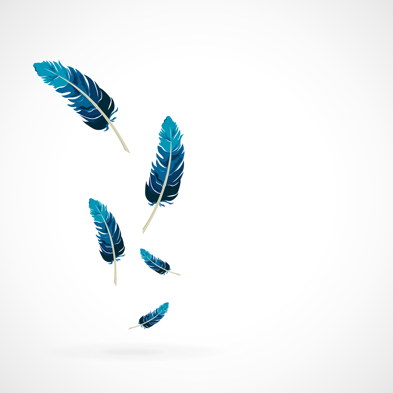 feather-1689331_1280.png