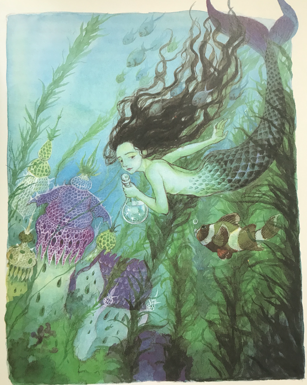 인어공주 세계의동화.png