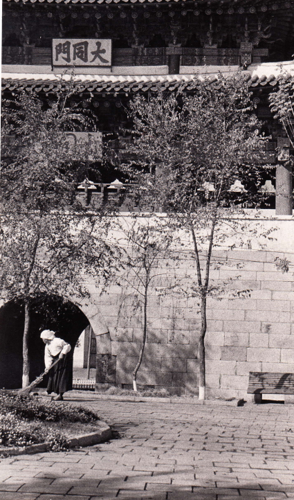 크뢰슬로바, 평양 대동문.png