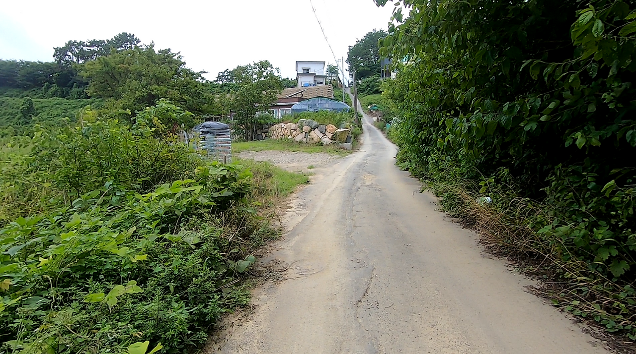 스크린샷 2024-11-22 155248.png