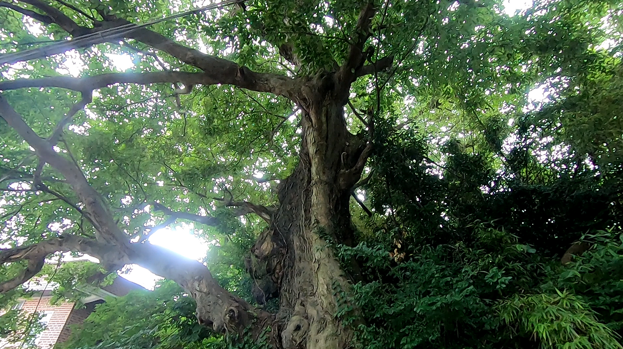 스크린샷 2024-11-22 152530.png