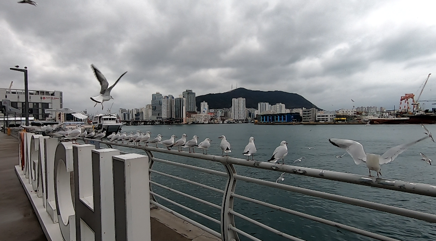 스크린샷 2024-03-24 151821.png