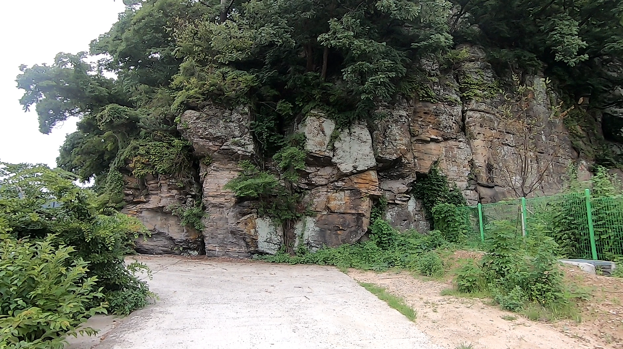 스크린샷 2024-11-22 144108.png