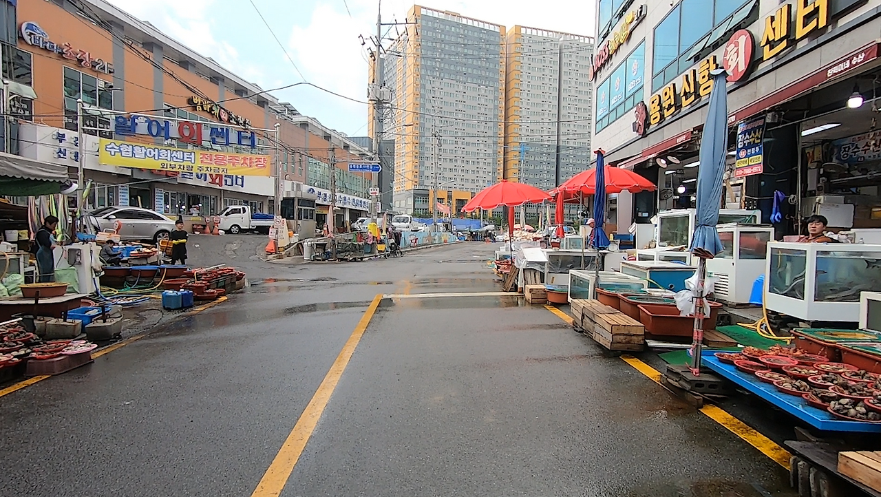 화면 캡처 2024-05-31 175405.png