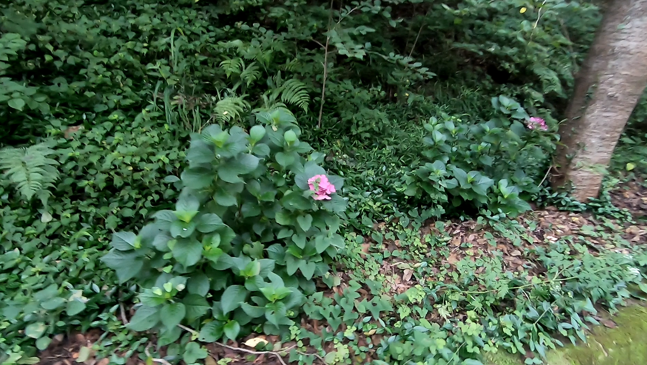 스크린샷 2024-11-22 105221.png