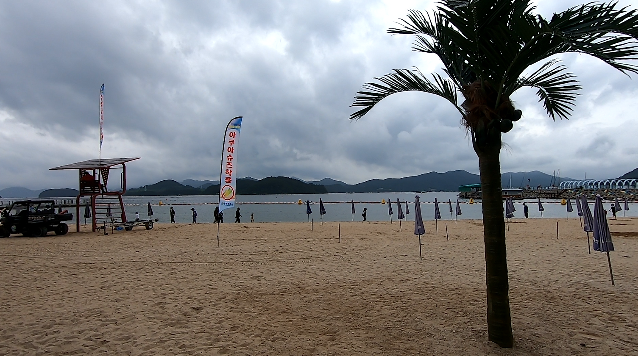 스크린샷 2024-11-22 131111.png