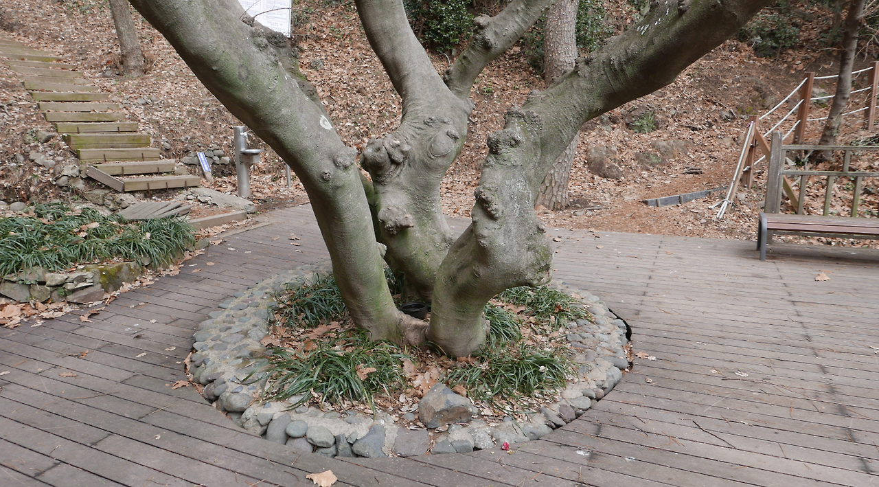 스크린샷 2024-03-24 174531.png