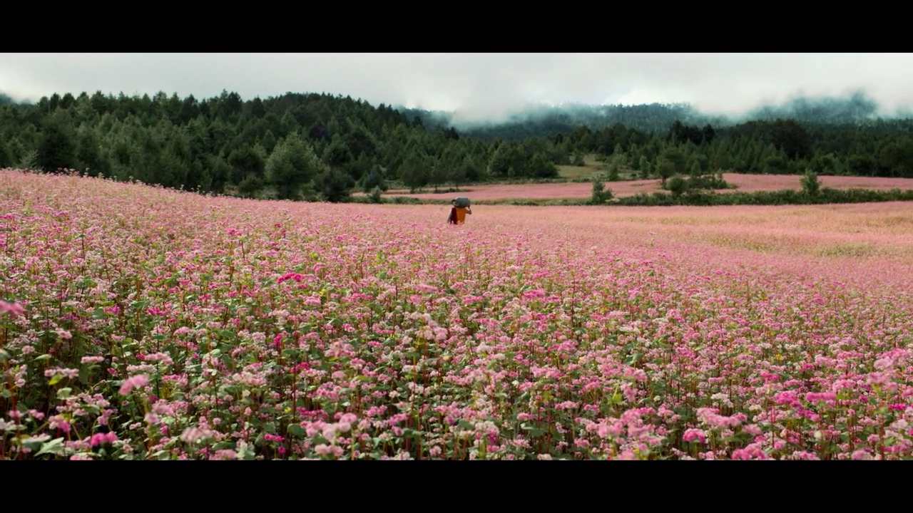 총을 든 스님_Texted_ST_2025.02.05_3m.mp4_006060600.png