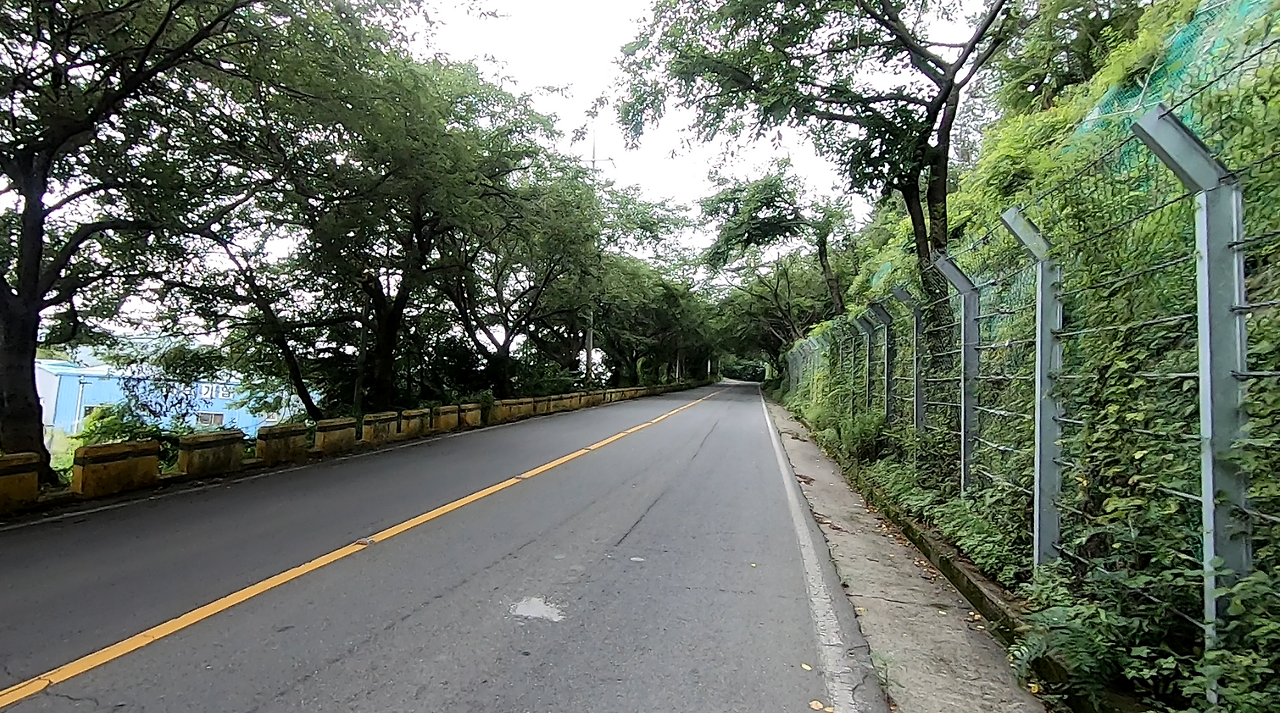 스크린샷 2024-11-22 103958.png