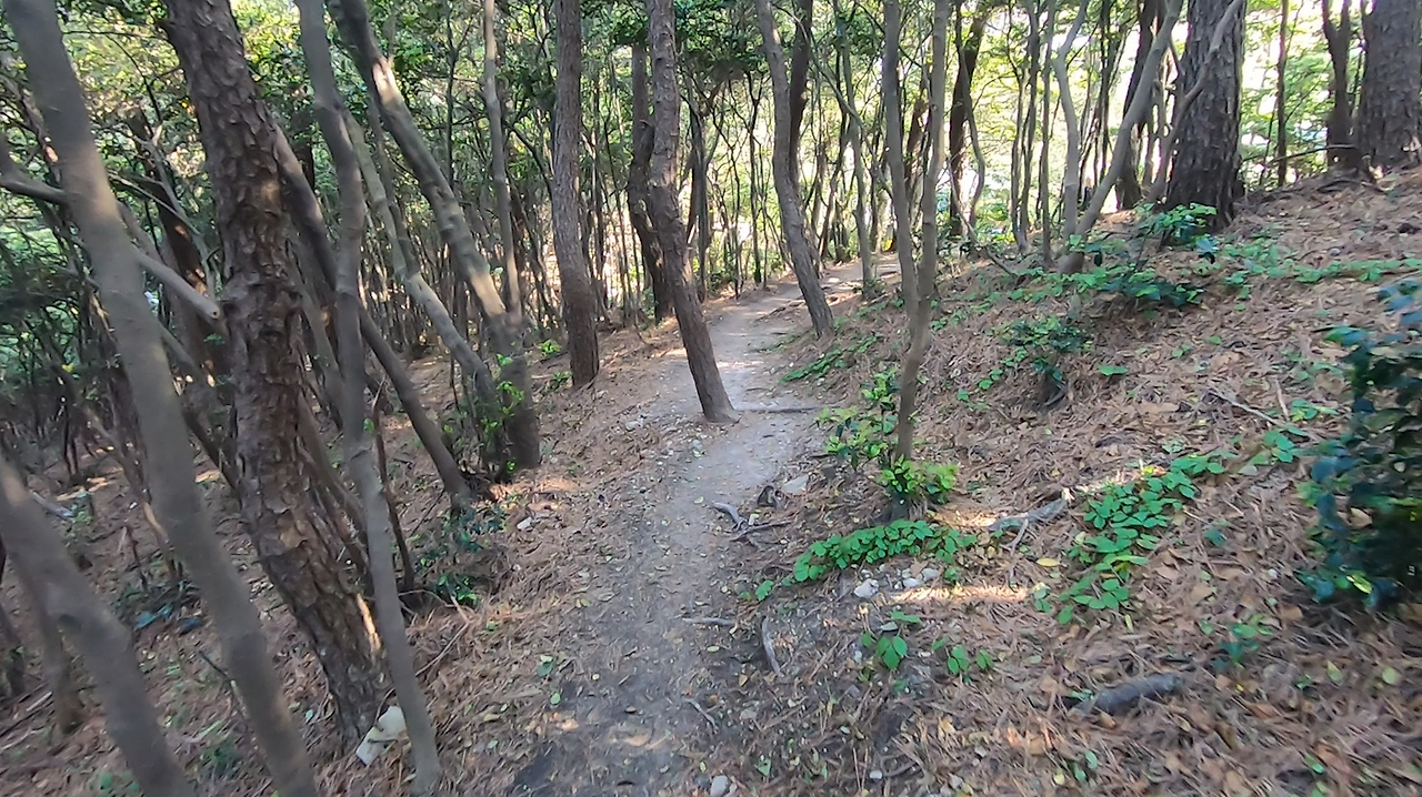 화면 캡처 2024-05-18 122300.png