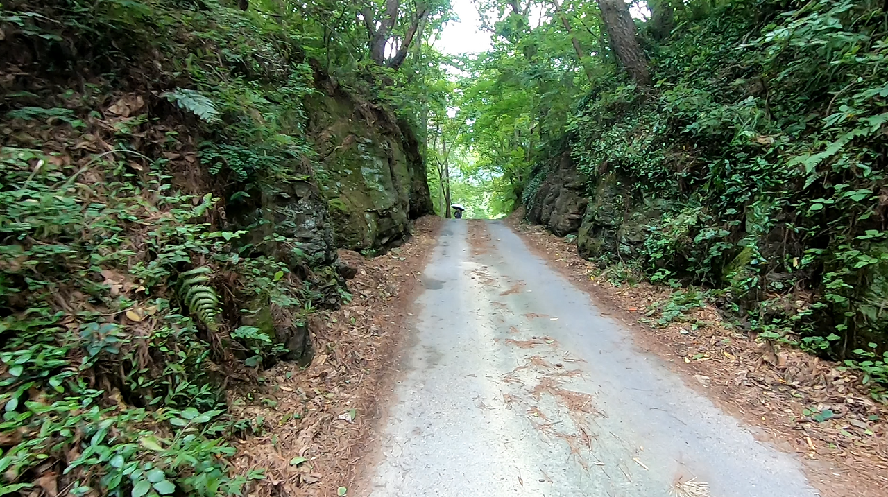 스크린샷 2024-11-22 154934.png