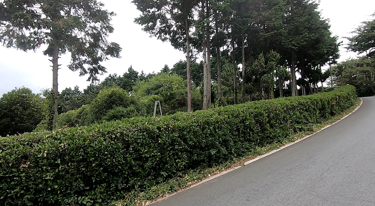 스크린샷 2024-11-22 154632.png