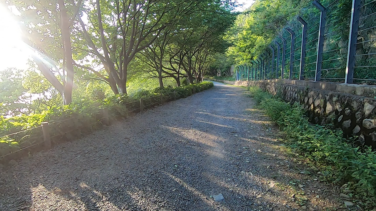 화면 캡처 2024-05-18 140222.png