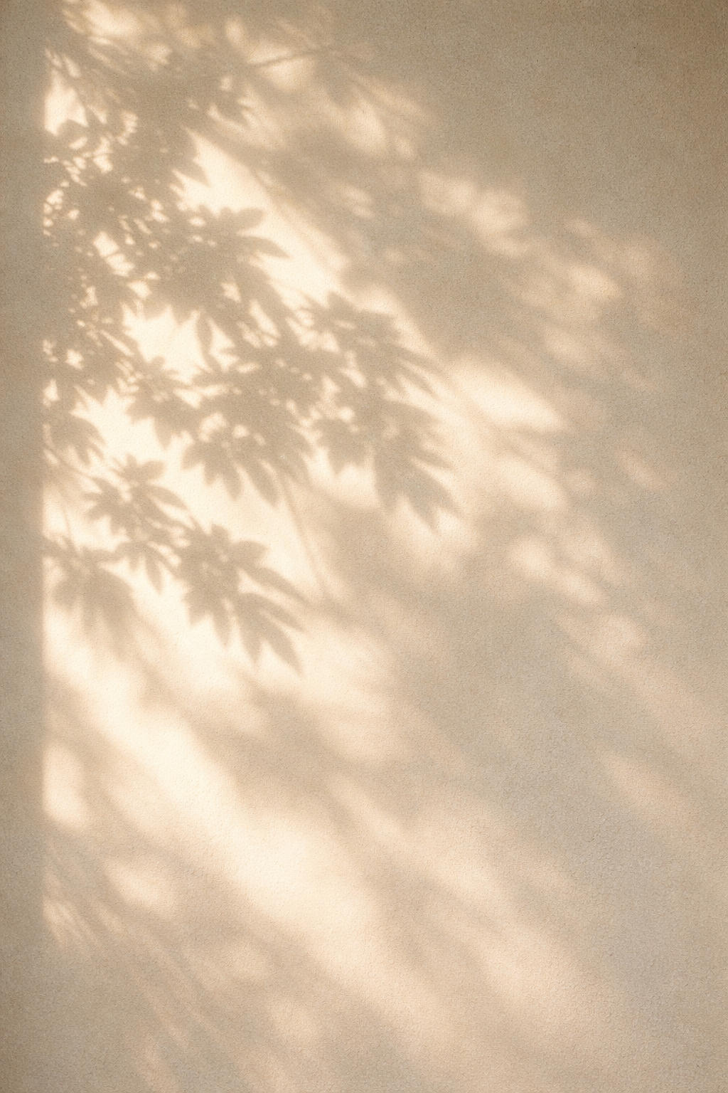 ChatGPT Image 2026년 1월 19일 오후 02_07_41.png