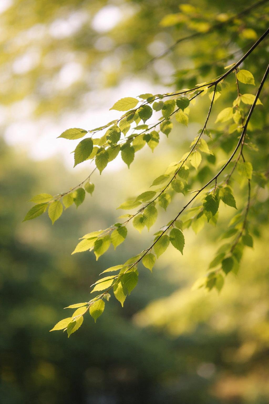 ChatGPT Image 2026년 1월 19일 오후 02_19_12.png