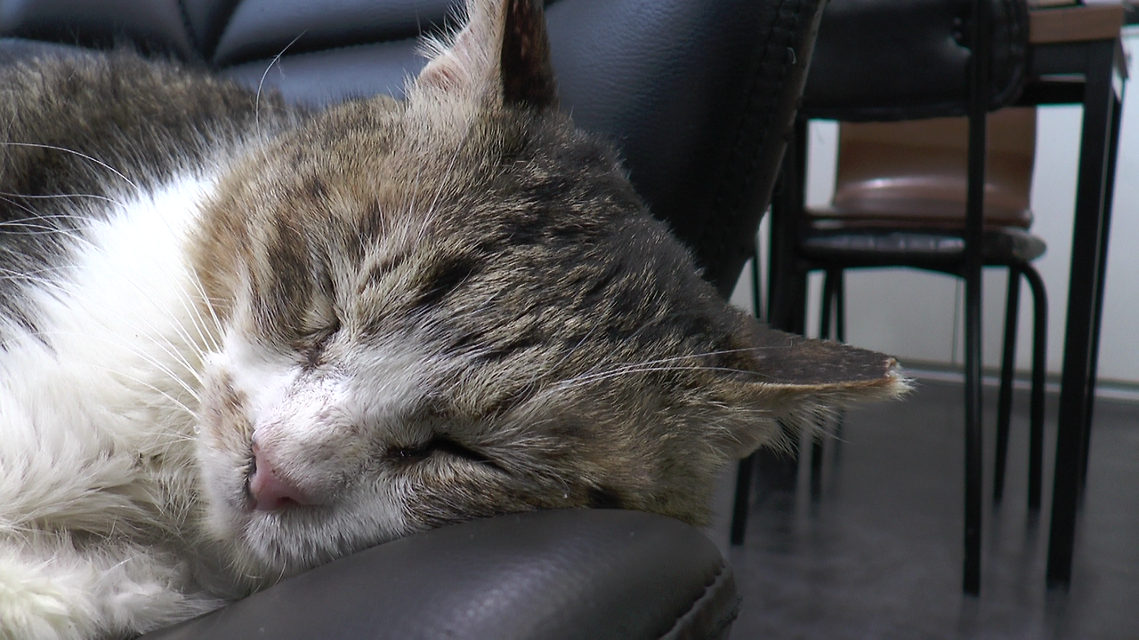 몬돌이 (2).MTS_000007485.png