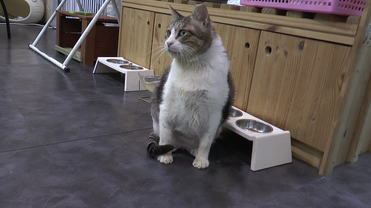 몬돌이 (10).MTS_000016001.png