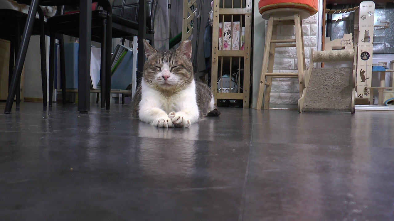 몬돌이 (9).MTS_000004835.png