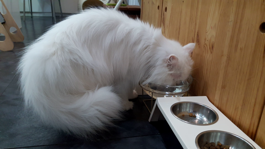 설정샷 (13).mp4_000003407.png