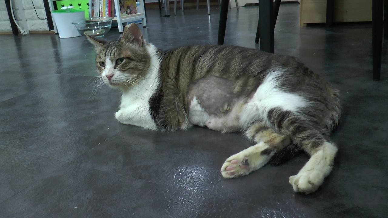 몬돌이 (8).MTS_000001495.png