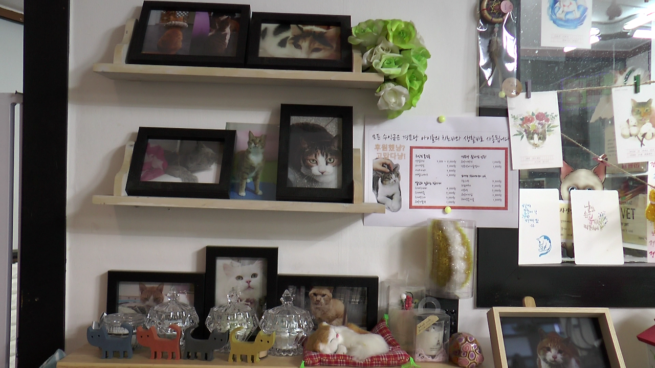 설정샷 (2).MTS_000004855.png