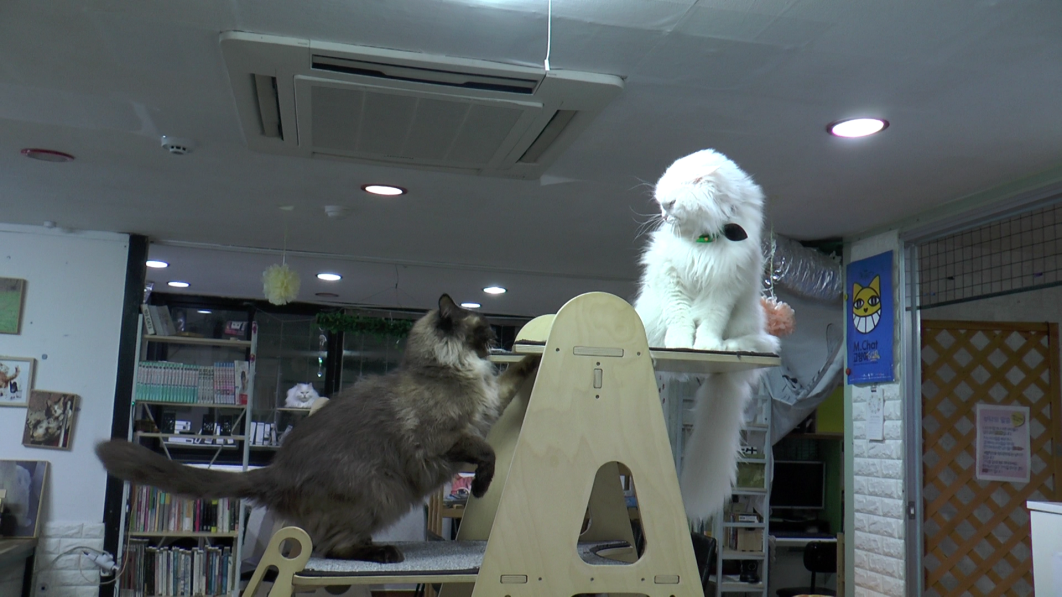 영역다툼 (7).MTS_000001735.png