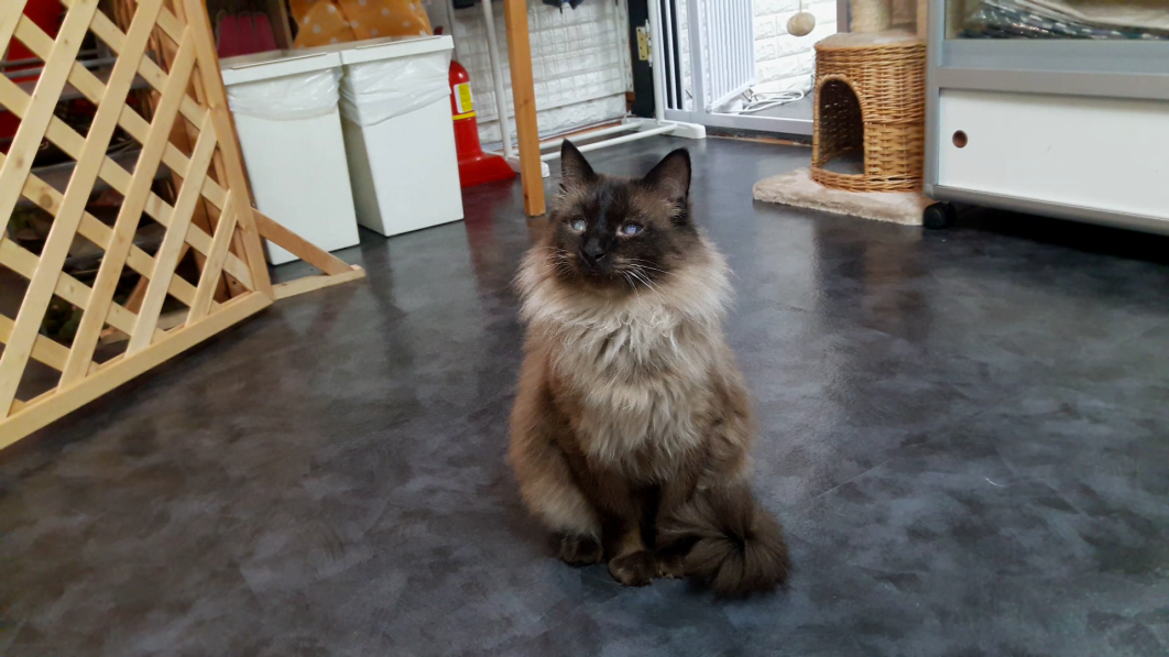 뭉실이 (2).mp4_000002201.png