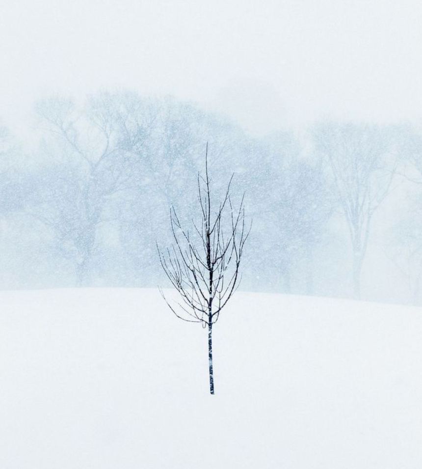 스크린샷 2025-01-03 195823.png