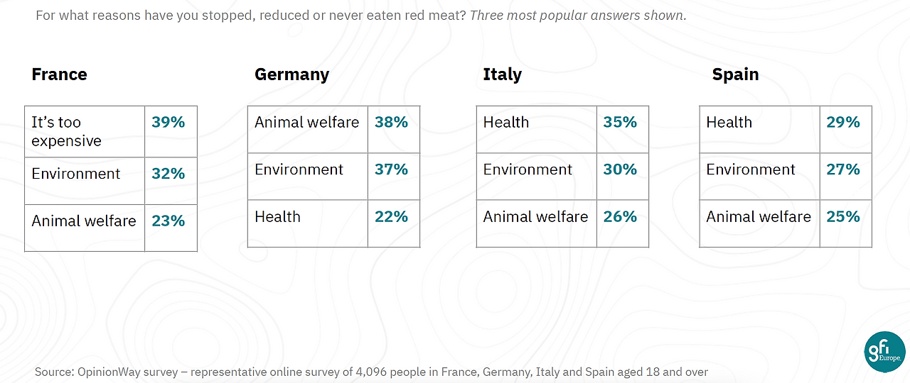 Screen Shot 2024-10-21 at 8.05.33.png