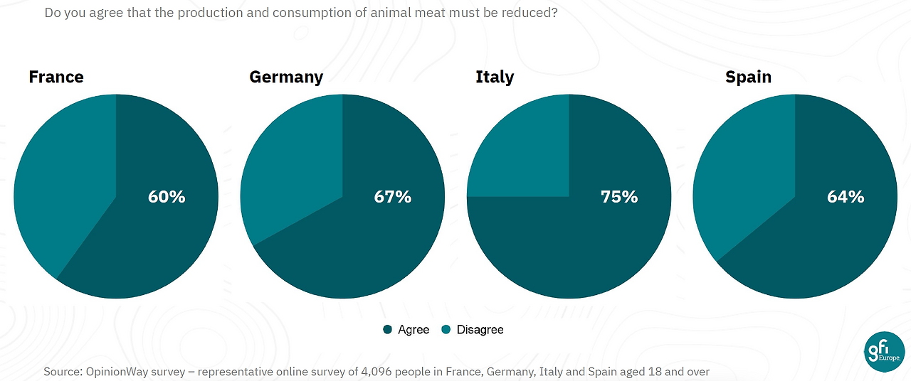 Screen Shot 2024-10-21 at 8.10.52.png