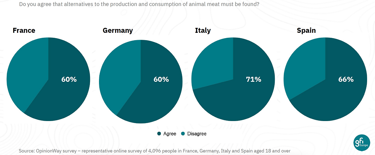 Screen Shot 2024-10-21 at 8.12.16.png